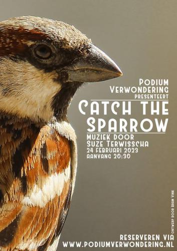 affiche Catch the Sparrow