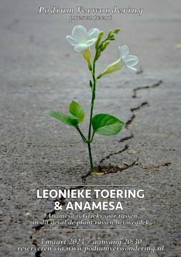 affiche Leonieke Toering